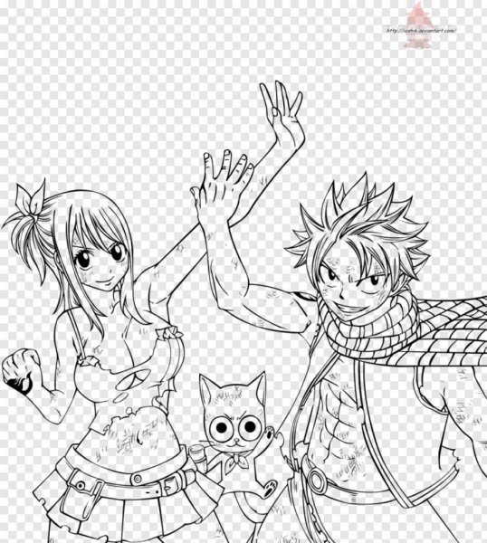 Раскраски хвост феи Нацу и Люси