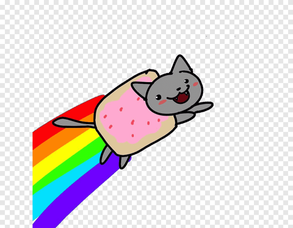 Кот с радугой