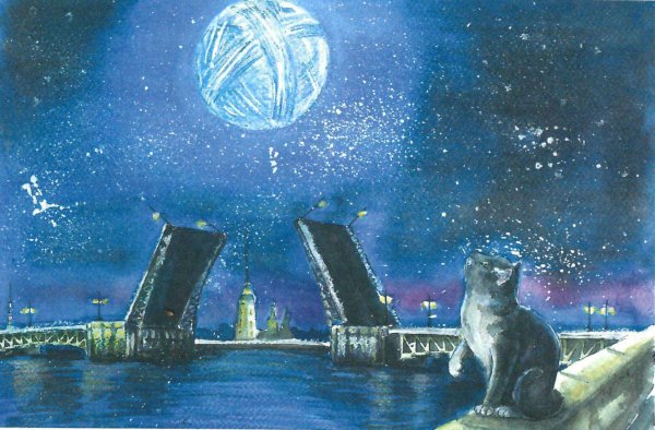 Ночные питерские коты