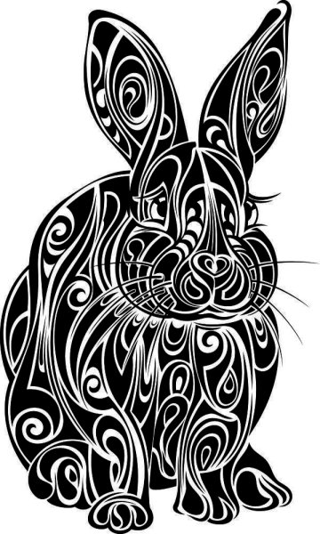 Животные в графике