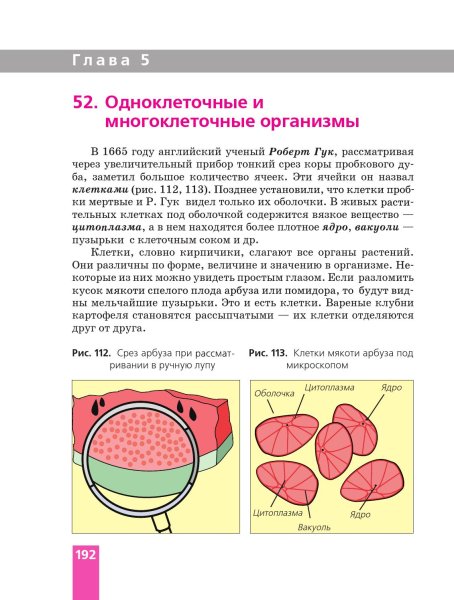 Клетки мякоти томата под микроскопом рисунок