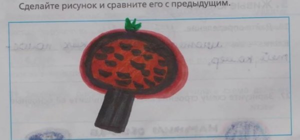 Строение клетки мякоти томата рисунок