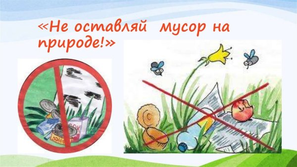 Не мусорить в лесу