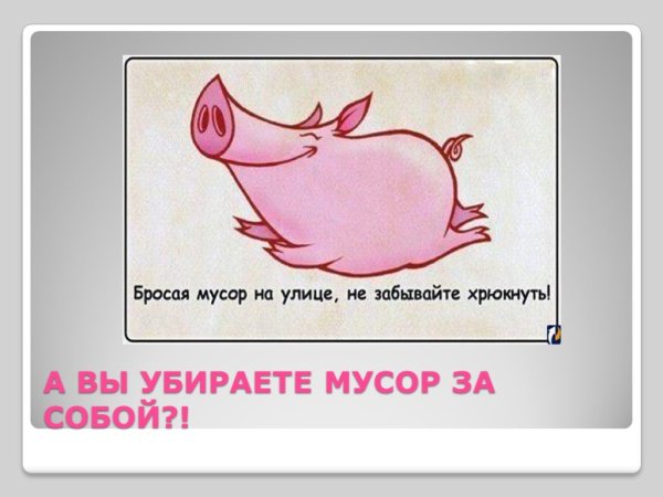 Объявление не бросать мусор