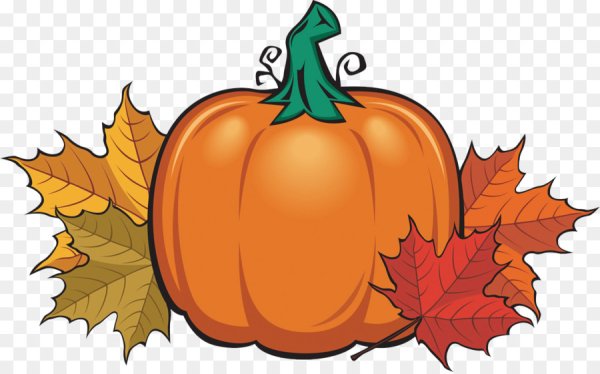 Мультяшные осенние овощи