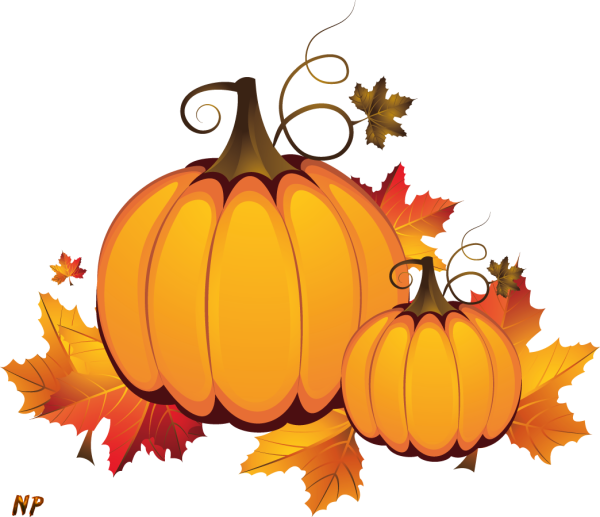 Осенняя тыква на прозрачном фоне