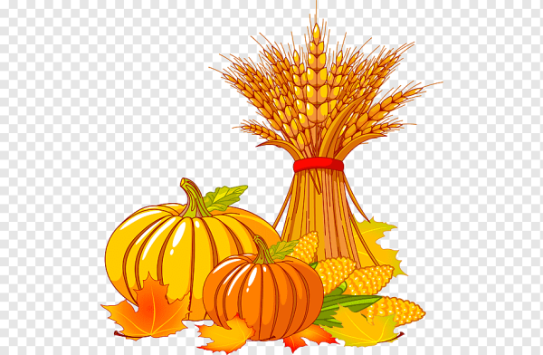 Праздник урожая тыквы для детей