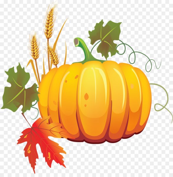 Осенние овощи для детей