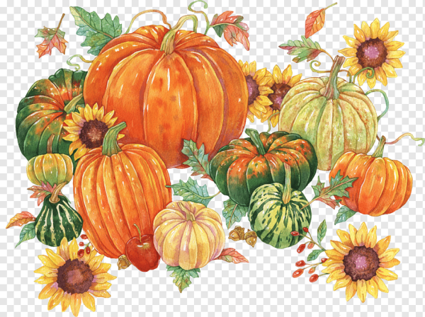 Тыква рисунок