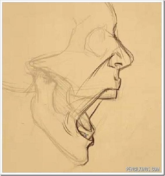 Кричащий человек в профиль референс