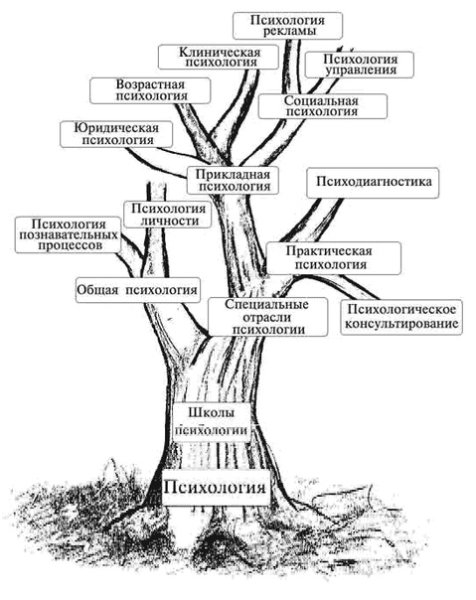 Схема отраслей психологической науки
