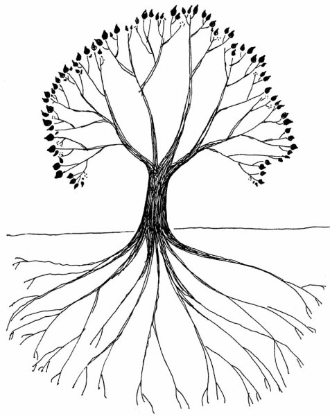 Несуществующее дерево