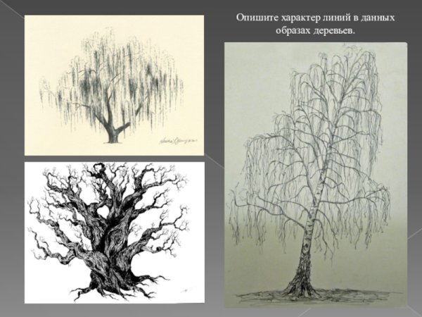 Рисунок линия и ее выразительные возможности