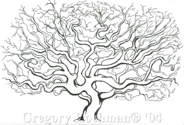 Дерево из линий карандашом