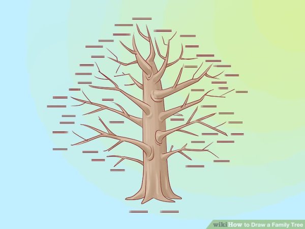 Деревья для проекта