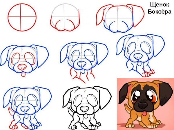 Поэтапное рисование собаки