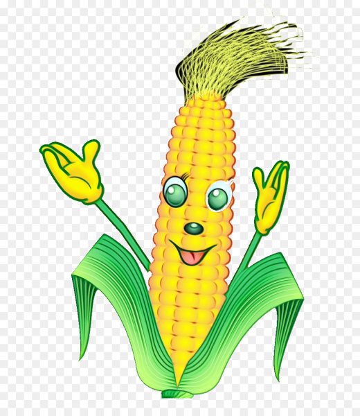 Кукурузный початок