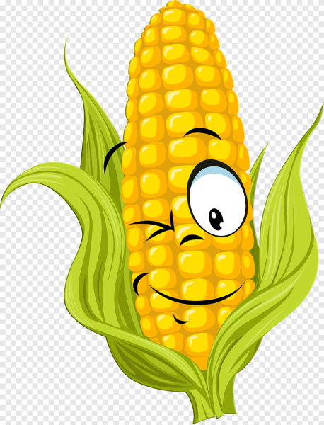 Кукуруза Corn