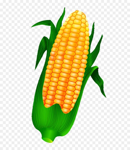 Кукуруза Corn