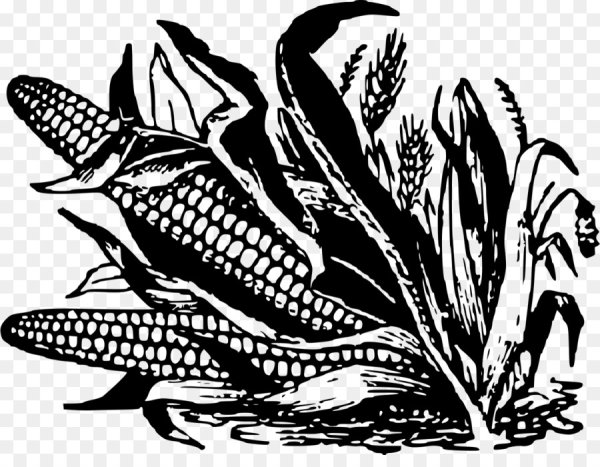 Стилизация кукурузы