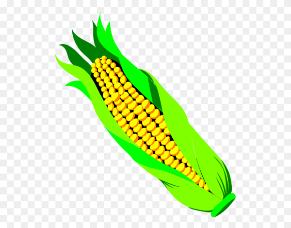 Початок кукурузы мультяшный