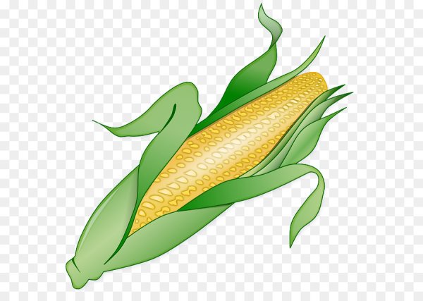 Кукуруза клипарт