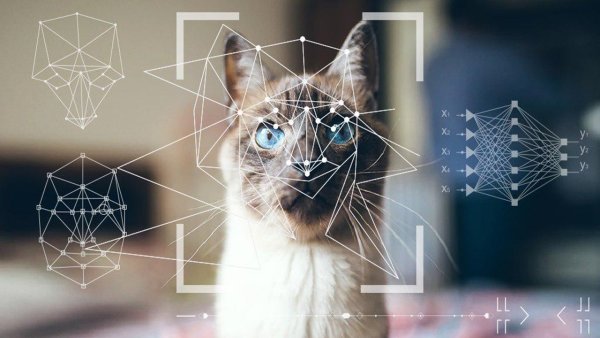 Искусственные нейронные сети распознавание лиц