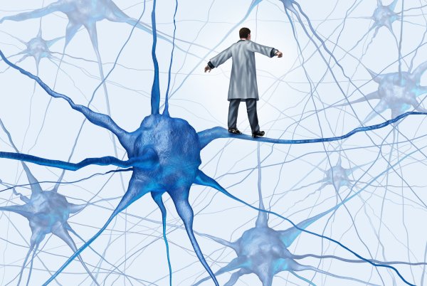 Нейронная сеть мозга