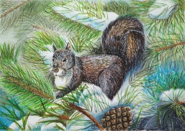 Детские рисунки Сибири