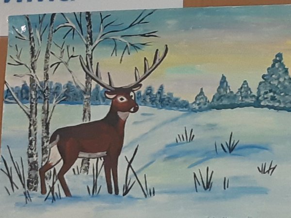 Сибирь земля моя без края конкурс рисунков