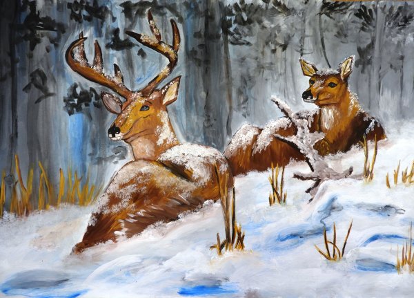 Иллюстрация о родной природе