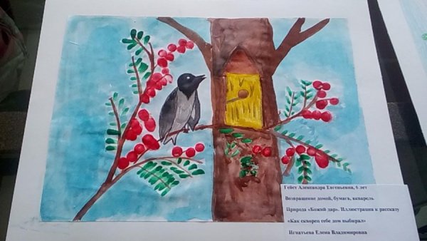 Заповедники России рисунки