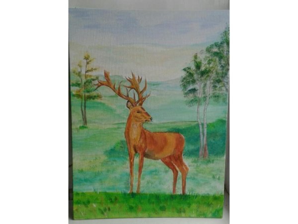 Мир животных глазами детей