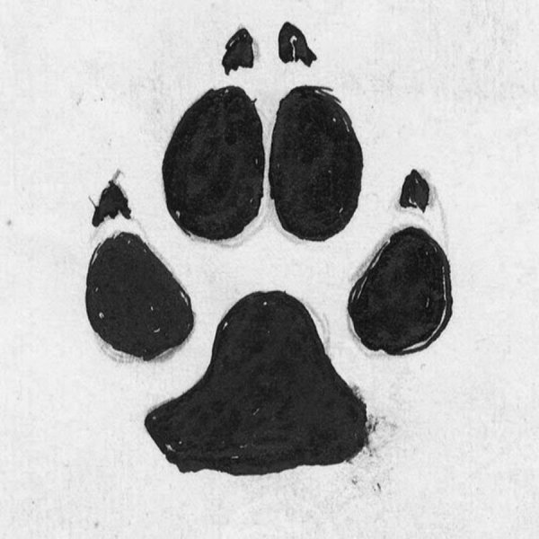 След лапы волка