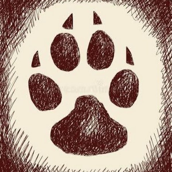 Отпечаток волчьего следа