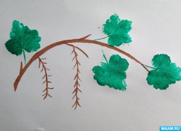 Смородина раскраска