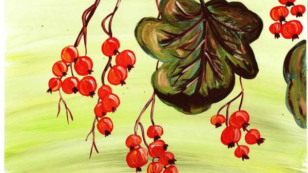 Куст крыжовника рисунок