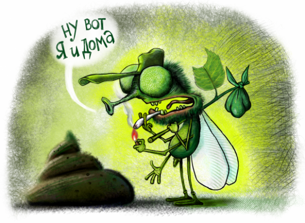 С возвращением домой прикольные