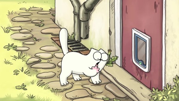 Домой прикольные