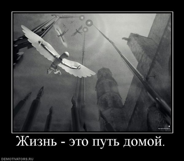 Возвращение домой шутки