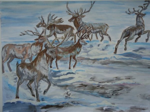 Северная олениха тундра художник