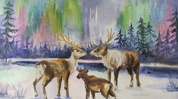 Иллюстрации с изображением природы севера,