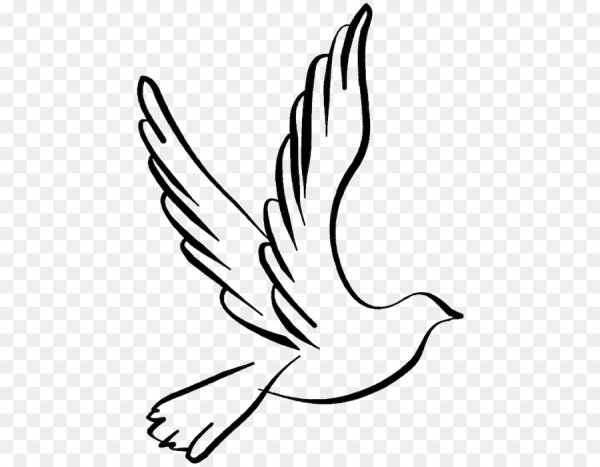 Голубь символ