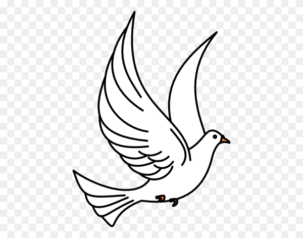 Белый голубь рисунок