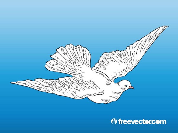 Нарисовать летающего голубя