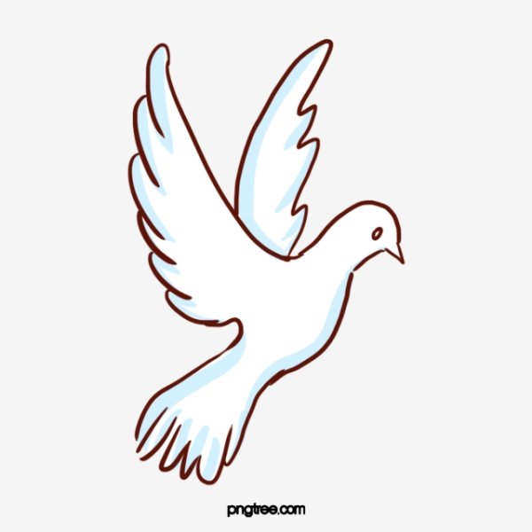 Силуэт голубя белый