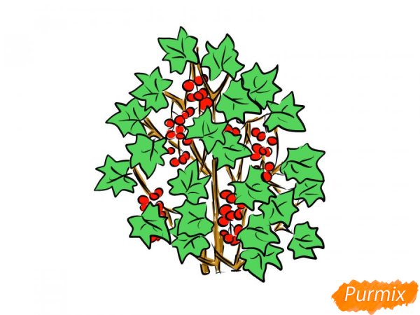 Куст смородины для детей