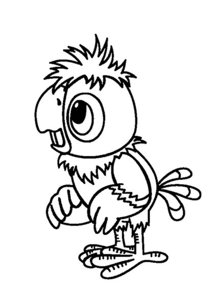 Разукрашка попугай Кеша