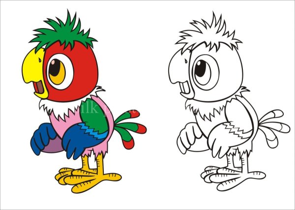 Раскраска мультфильм попугай Кеша