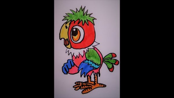 Попугай Кеша